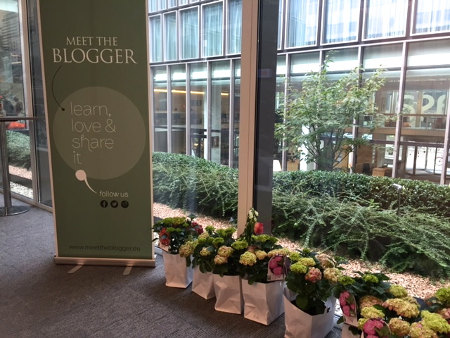 meet the blogger plants